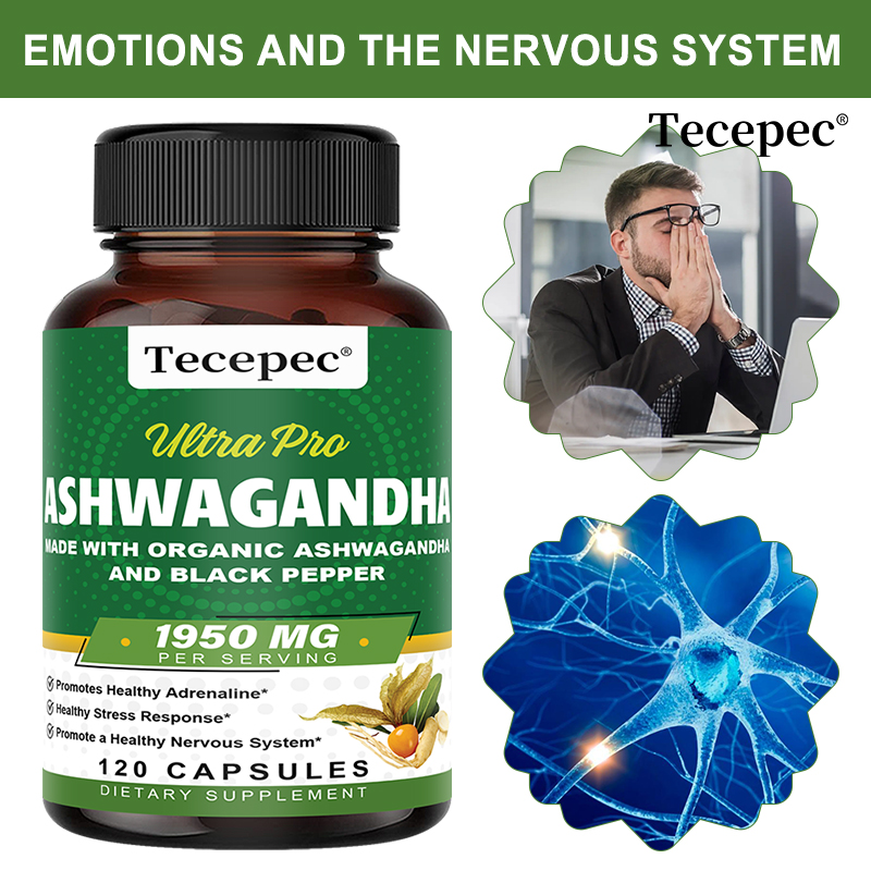 Ashwagandha Extract Root - Organik Aşvaganda Kök Ekstresi Kapsülleri 1950mg,
