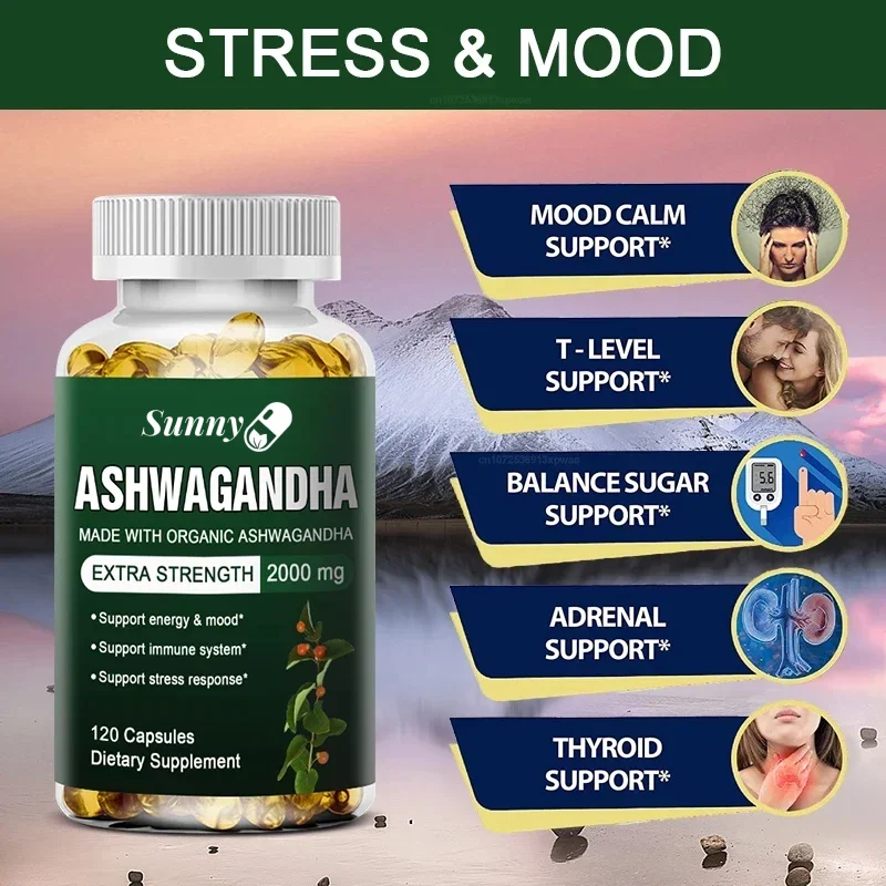 Ashwagandha Ekstrakt Kapsülü A - Ashwagandha Extract Root incelemesi ve fiyatı